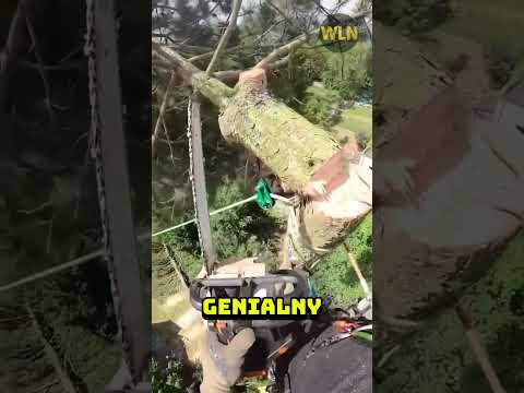 Gdyby tego nie nagrał nikt by nie uwierzył! 🤯