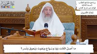 19 - ما أصلُ اللّات وَوَدّ وسُوَاع ويَغوث وَيَعوق وَنَسر؟ - عثمان الخميس
