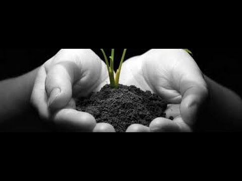 Tv7 con Voi del 16/01/2015 - Salute delle Imprese (1 di 3)