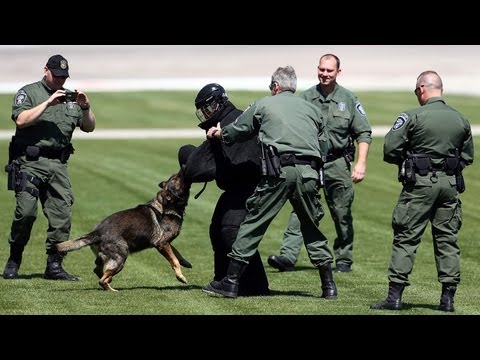'Officer' Biffle enjoys day with K9 Unit
