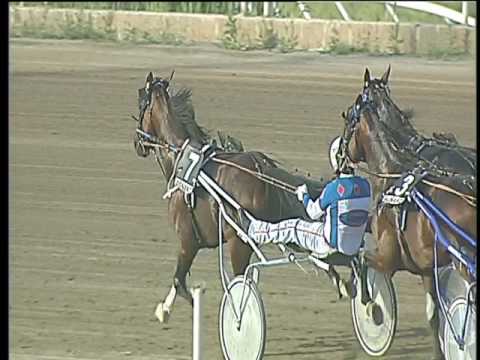 Trotto 08/06/2017 - 7ª corsa - TRIS