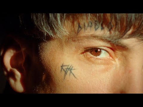 Video thumbnail for Păsări migratoare