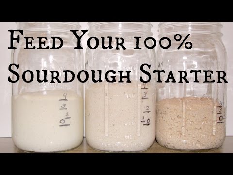 download lagu mp3 mp4 100 Hydration Starter, download lagu 100 Hydration Starter gratis, unduh video klip 100 Hydration Starter