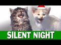 Jingle Cats Silent Night 