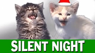 Jingle Cats Silent Night