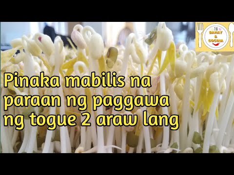 Fastest Way to Make Beans Sprout or Togue in Just 2 Days| How to make Beans Sprout