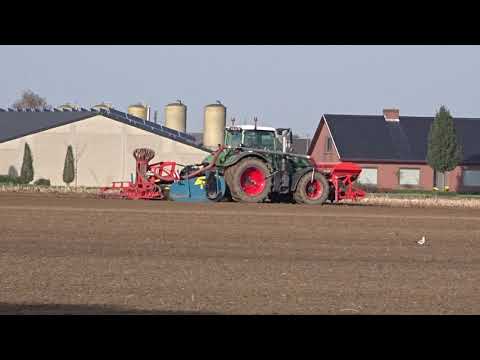 Marreel (Egem): Groenbemester zaaien.