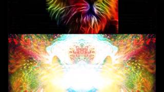 🌾  Natural Vibes 🌾  Carbon Based Lifeforms - Vortex