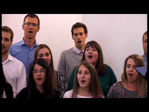 Grupul Voces - Laolalta