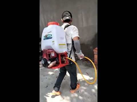 Phòng chống mối mọt công trình Quận 10 - 0862.1414.15