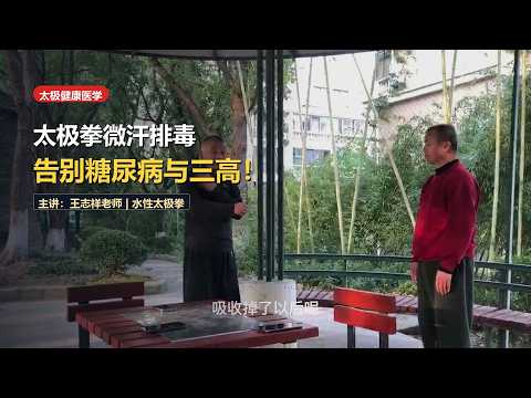 Tai Chi Micro-Perspiration: Scientific Detoxification & Metabolic Activation