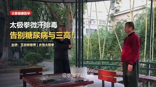 Tai Chi Micro-Perspiration: Scientific Detoxification & Metabolic Activation