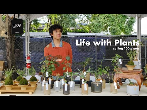 My First Market | selling 100 plants, market prep, setting up my booth