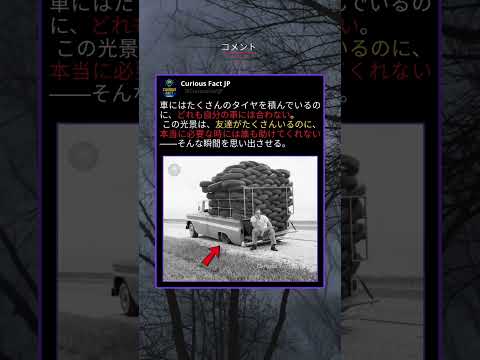数じゃなくて、支えてくれるかどうか。