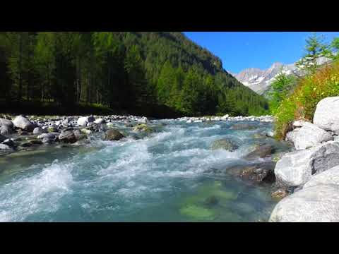 4k Forest Mountain Stream. Flowing Water. Sound of River White Noise for Sleeping, Nature Sounds.