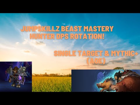 Jumpskillz's Beast Mastery Hunter DPS Rotation! 9.2.7 WoW Shadowlands