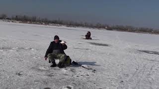 Рыбалка на ахтубе в волгоградской обл.