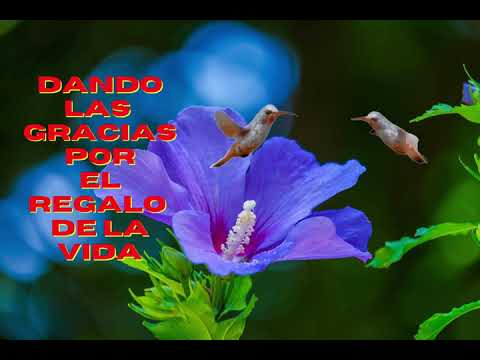 Feliz Viernes Buenos Días Te Deseo Un Feliz Fin De Semana Un Lindo Mensaje Para Ti