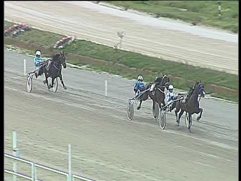 Trotto 25/03/2018 - prova di qualifica