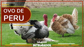 Miniatura do vídeo