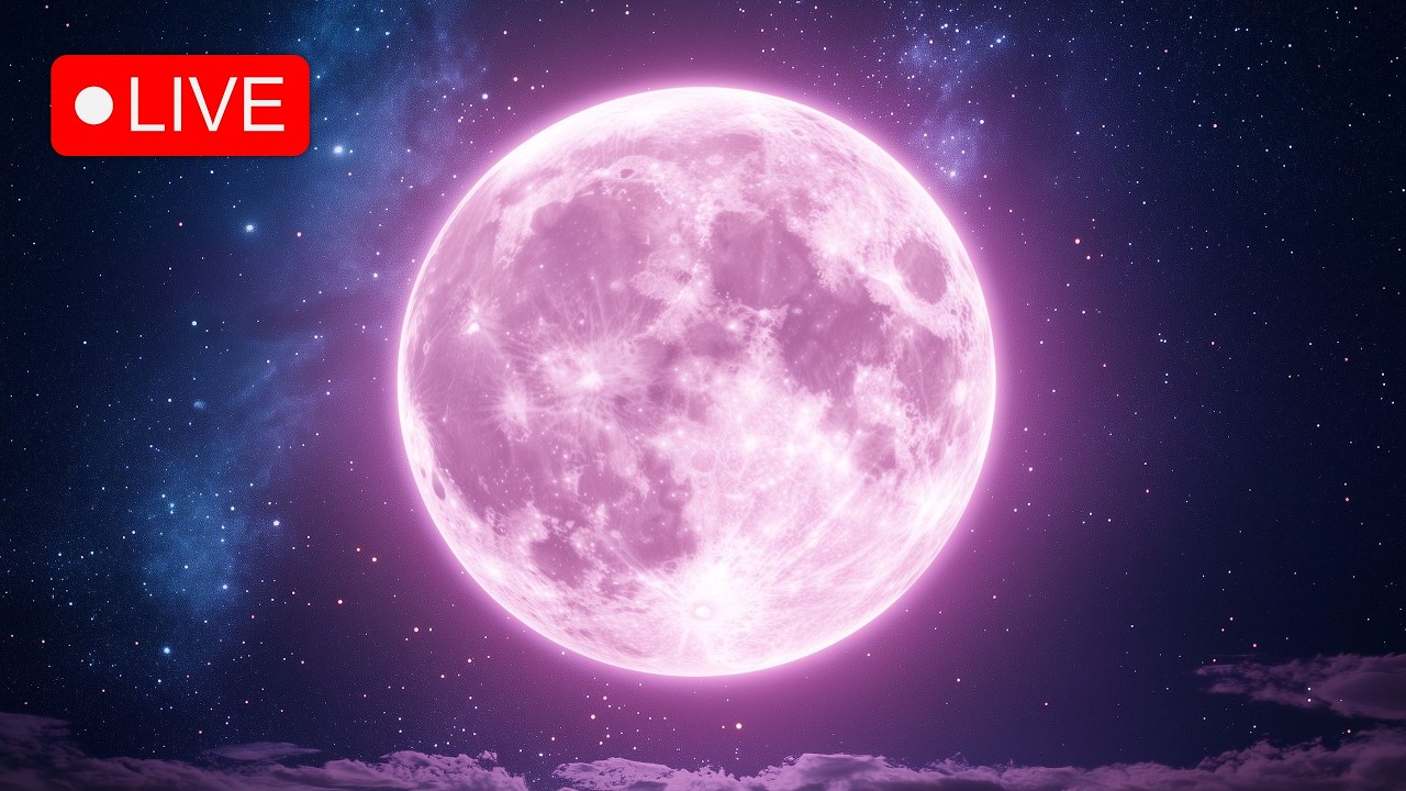 Pink Full Moon • 1111Hz • Manifest Prosperity, Miracles & Blessings • Law of Attraction