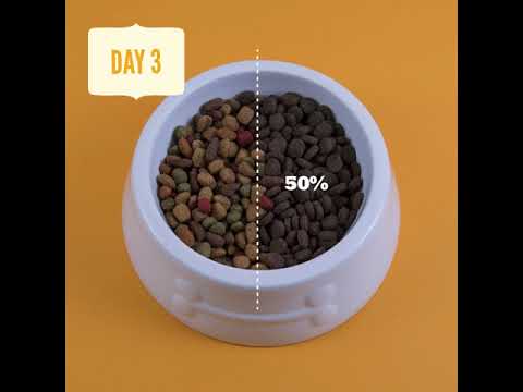 ACANA   Pet Lovers Want to Know Series 1   Transitioning