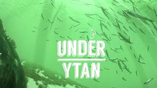 Under Ytan