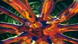 The Future Sound of London - Cascade (1993) 4k upscaled