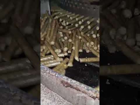 Mustard straw crush pellet producing by 132kw 560 pellet machine in Pakistan video preview