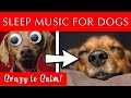 Play THIS for Your Dog to Sleep | Results in Minutes!