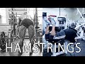 Lying Hamstring Curls - MaX-Hype 101 Tutorials and Tips