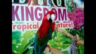 preview picture of video 'Niagara Falls Bird Kingdom'