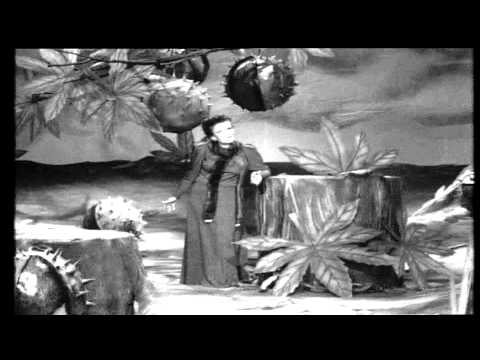 Ioana Radu - N-ai să știi niciodată