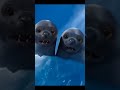 Happy Feet Death Scene And Animals Stampede Shorts Happyfeet Animal Animals
