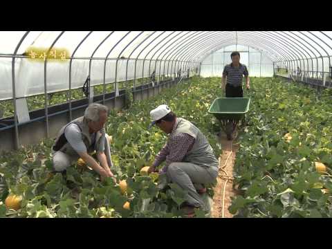 농사직설 수신멜론