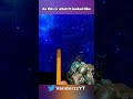 The UPDATED Slick Wine TARDIS Extension In Gmod