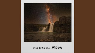 Everybody Loves A Lover