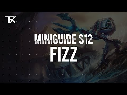 Fizz Miniguide S12 german | TFK