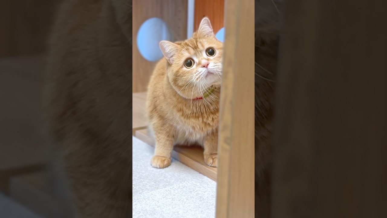 Something Sweeter Than Donuts 🍩