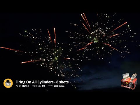 MS161 Firing on All Cylinders - 8 shots 200 Gram Cake - Tako Pyrotechnics 2024 Production