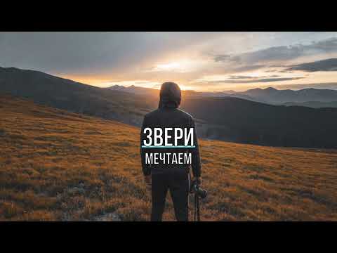 ЗВЕРИ - МЕЧТАЕМ (Текст песни)