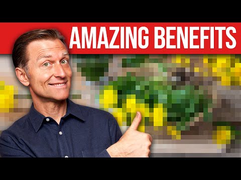 #1 Backyard Weed to Fix a Fatty Liver