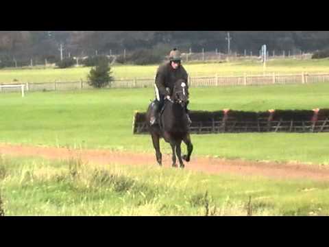 clip-2010-10-15 11;45;49.mov