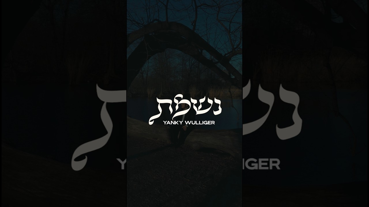 יענקי ווילגיר משחרר קאבר מרגש לשיר "נשמת" | צפו