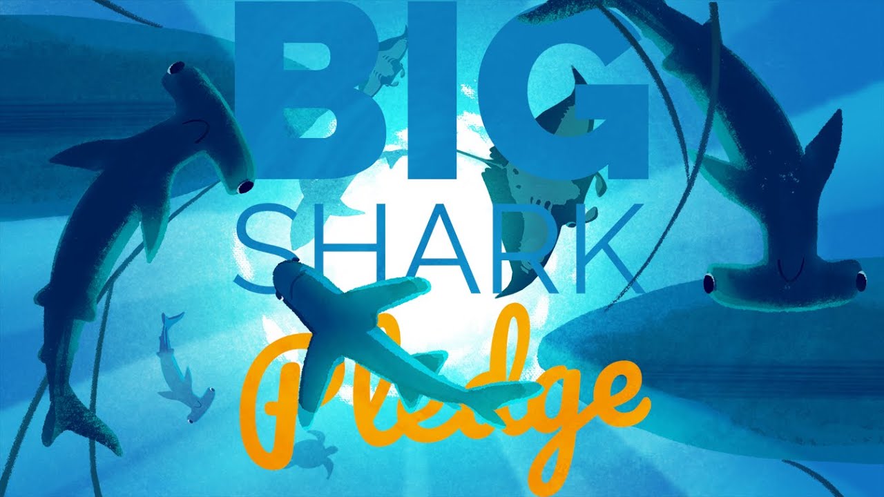The Big Shark Pledge
