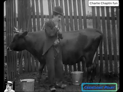 Charlie Chaplin | The Tramp 1915 | Fun With Cow | Creations Point