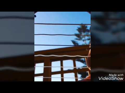 The Bluest Star - The 126ers | How to Play | With Tabs and Chords (Tutorial)