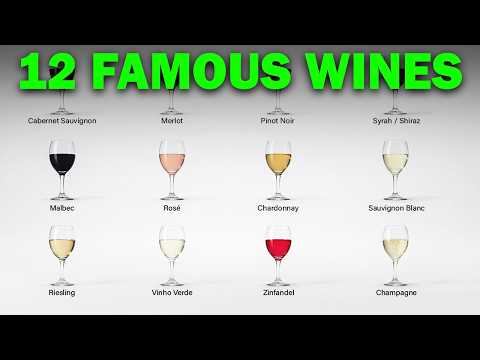 12 Famous Wines Simply Explained — The Truth Behind Each Bottle