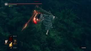 林［ダークソウルリマスター］