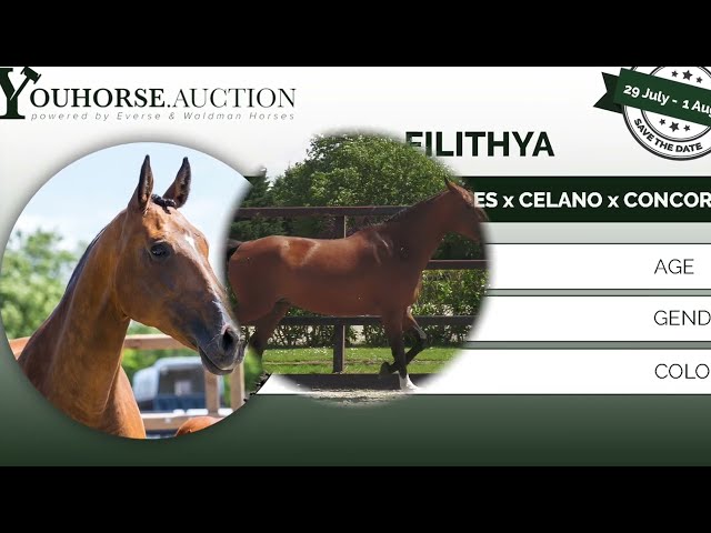 Filithya